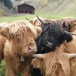 Yeti Apartment Sedrun