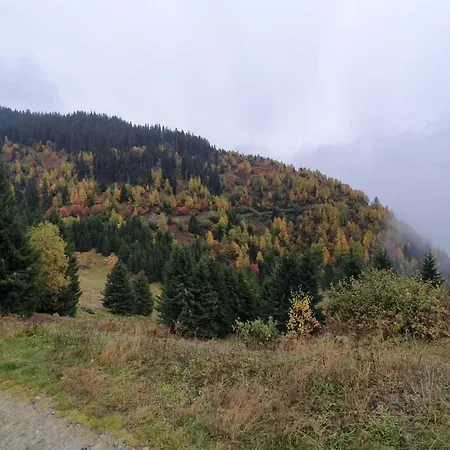 Yeti * Sedrun