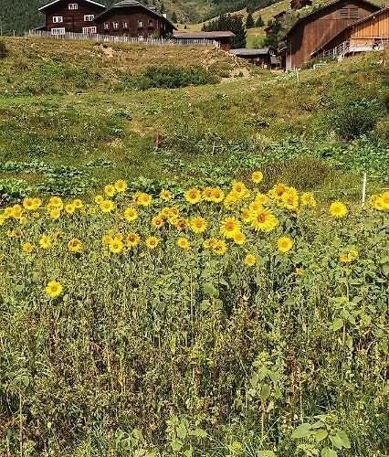 Yeti Appartement Sedrun