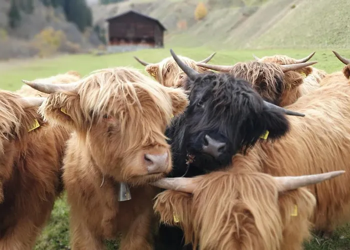 Yeti Apartamento Sedrun