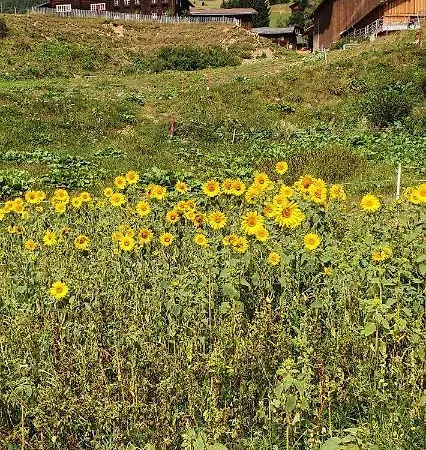 Yeti 아파트 세드런