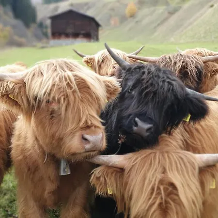 Yeti 아파트 세드런